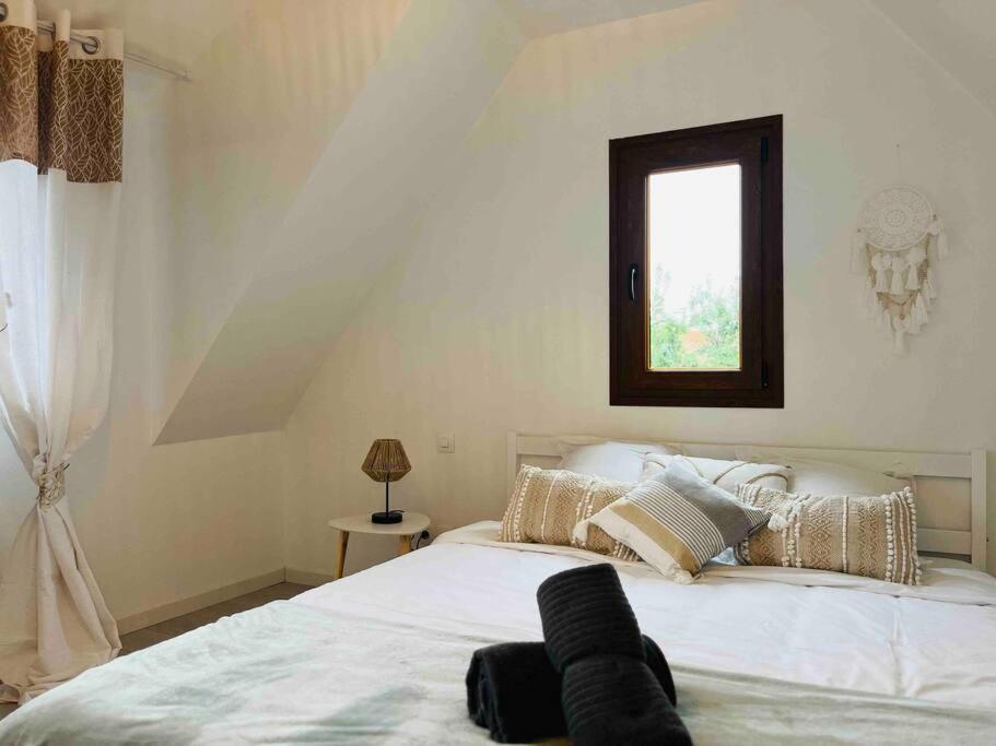 S'Hiesele Petite Maison Alsacienne Typique Ittenheim Extérieur photo
