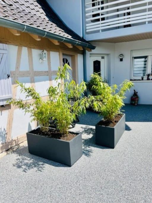 S'Hiesele Petite Maison Alsacienne Typique Ittenheim Extérieur photo